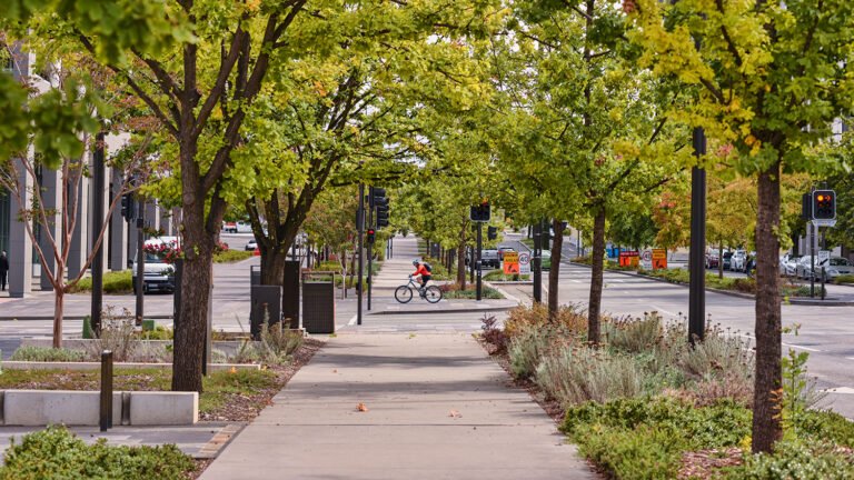 A city planted trees where the heat maps were worst, and the effect showed within two summers