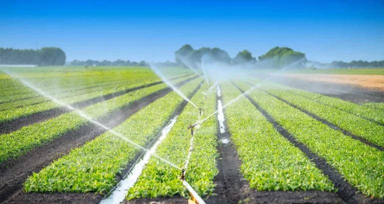 Century-old irrigation maps are helping farmers plan for drier years