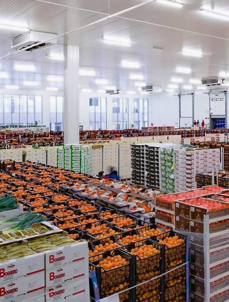 Cooperative cold storage has changed what small farms can grow
