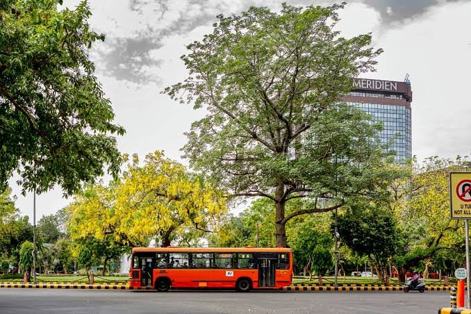 A city planted trees where the heat maps were worst, and the effect showed within two summers