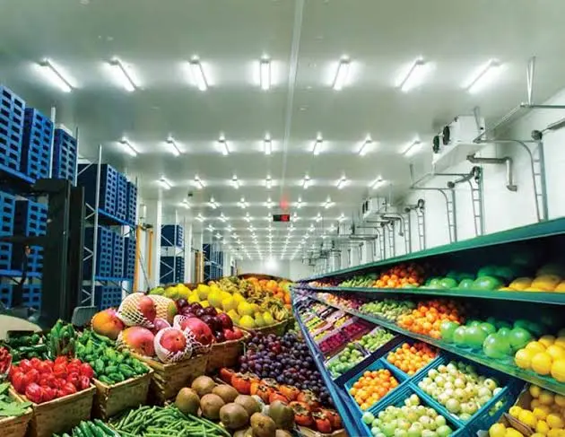 Cooperative cold storage has changed what small farms can grow